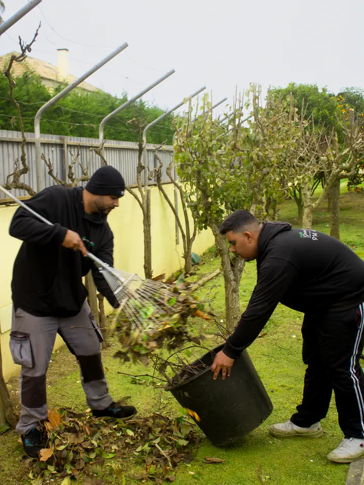 Dois jardineiros a juntar folhas e restos de poda com um ancinho e um cesto, num jardim com árvores de fruto