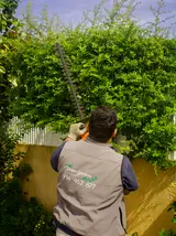 Jardineiro visto de costas, com o logótipo da Dream Gardens no colete, a cortar uma sebe